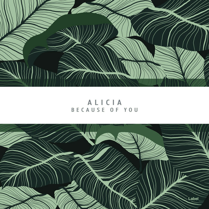 Premade Book Cover Norway