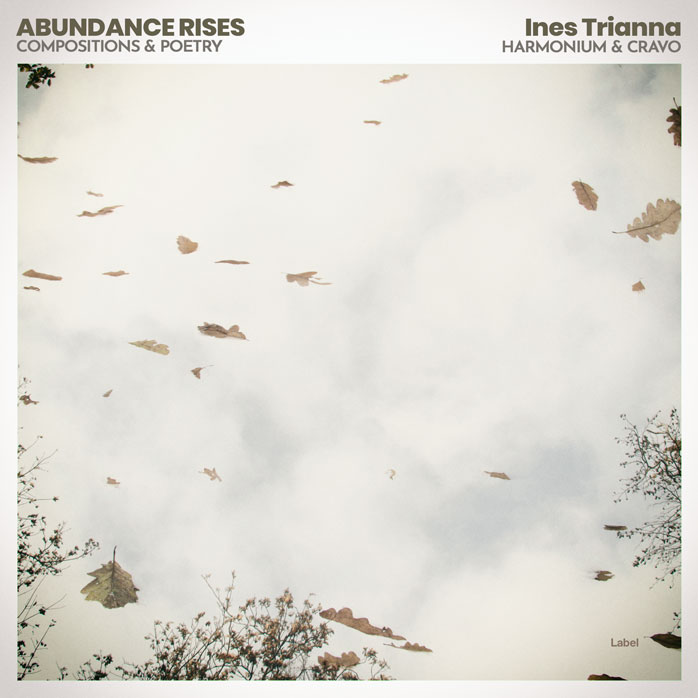 Premade Book Cover Cararra