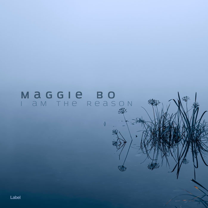 Premade Book Cover Polo Blue