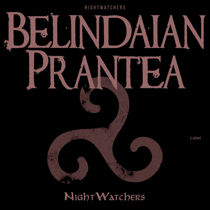 Premade Book Cover Black