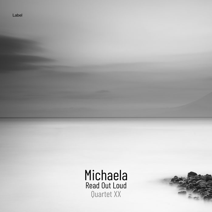 Premade Book Cover Silver