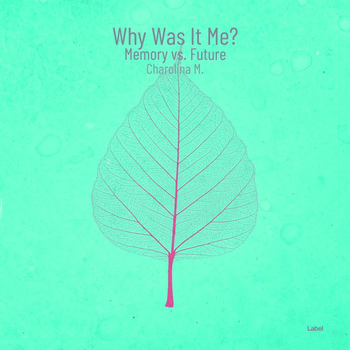 Premade Book Cover Aquamarine