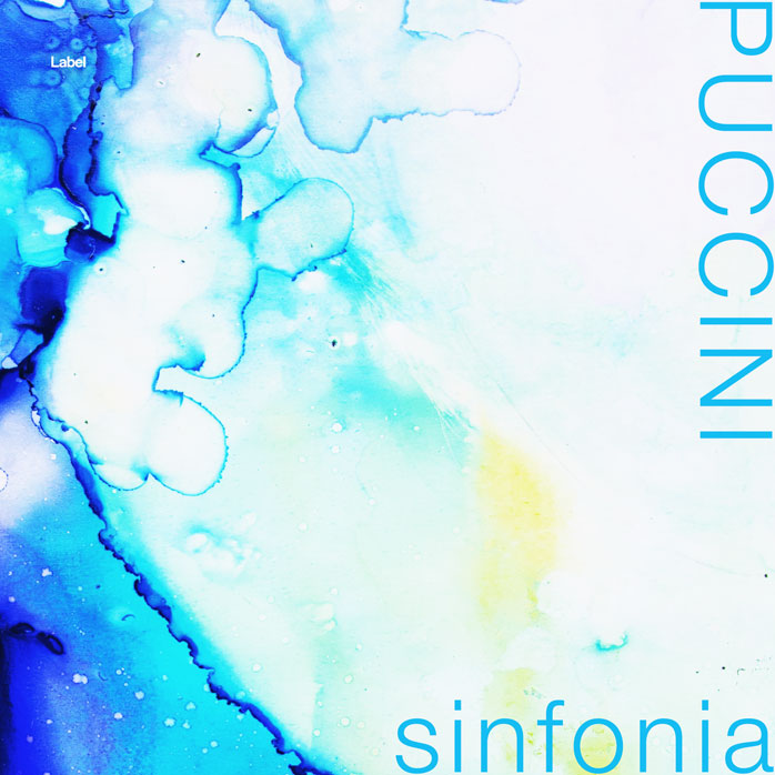Premade Book Cover Picton Blue