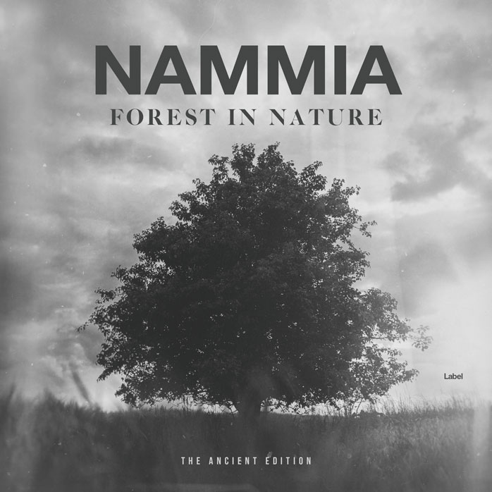 Premade Book Cover Nobel