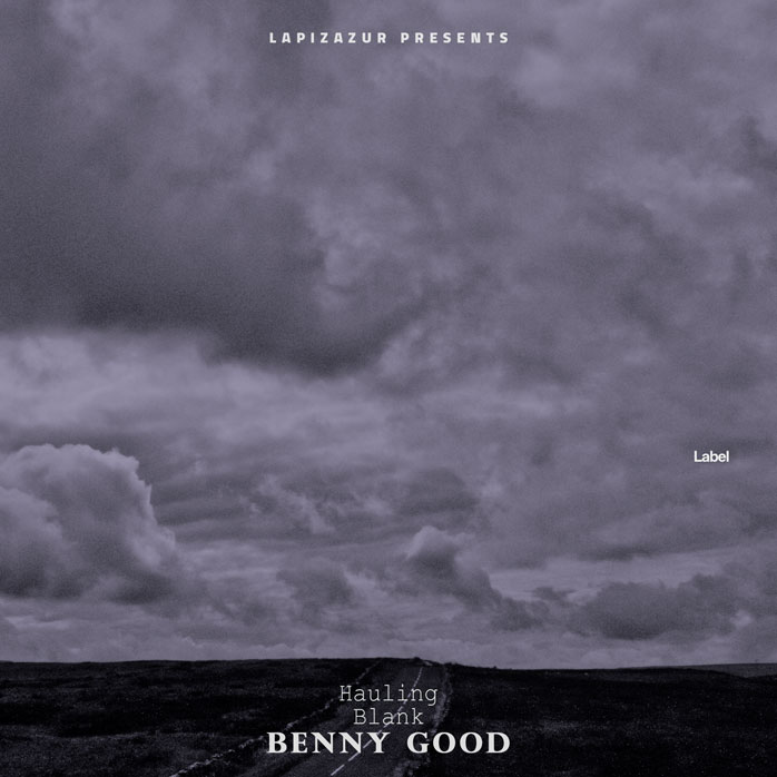 Premade Book Cover Dolphin