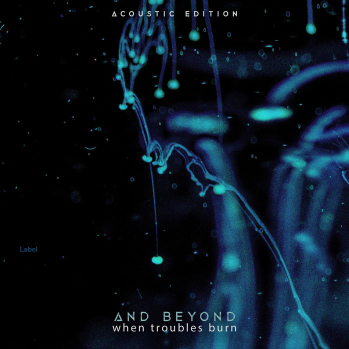 Premade Book Cover Ebony