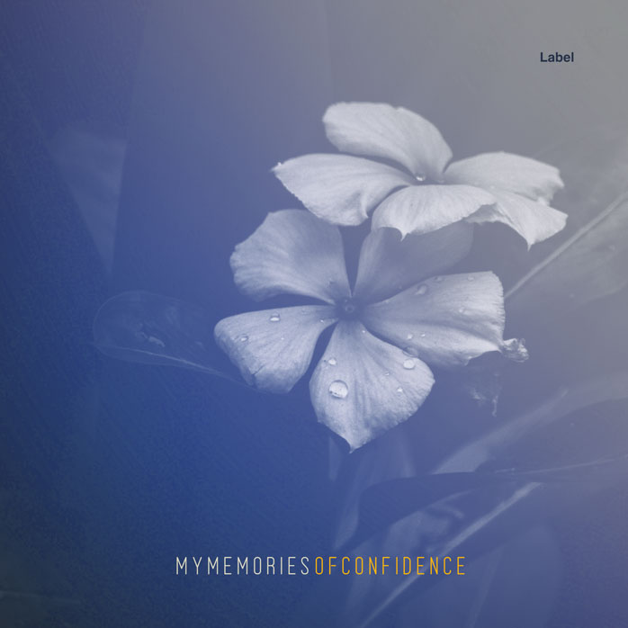 Premade Book Cover Waikawa Gray