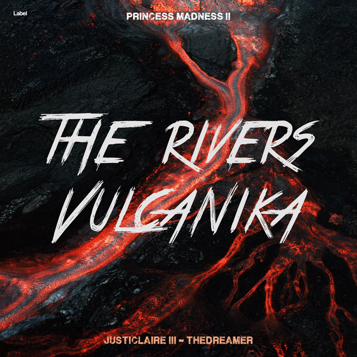 Premade Book Cover Puce