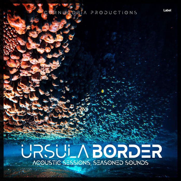 Premade Book Cover Ebony