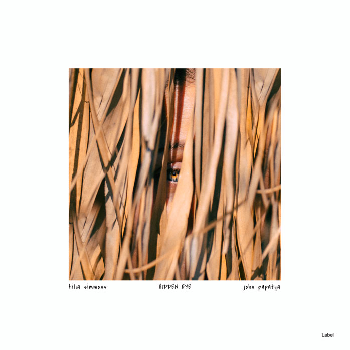 Front view of Premade Pop Album Cover - Whiskey #6287 | AlbumArtZone*