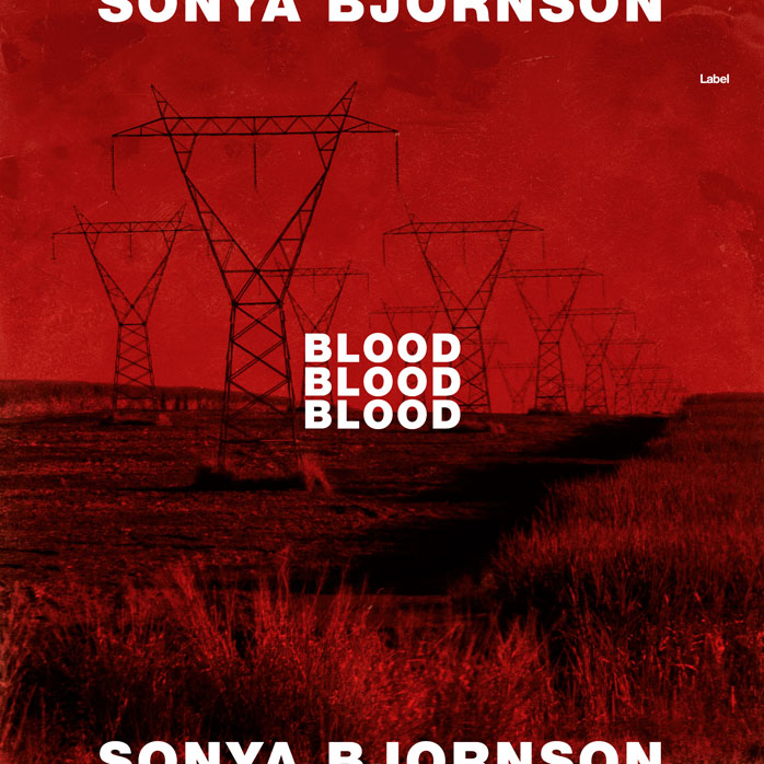 Premade Book Cover Tamarillo