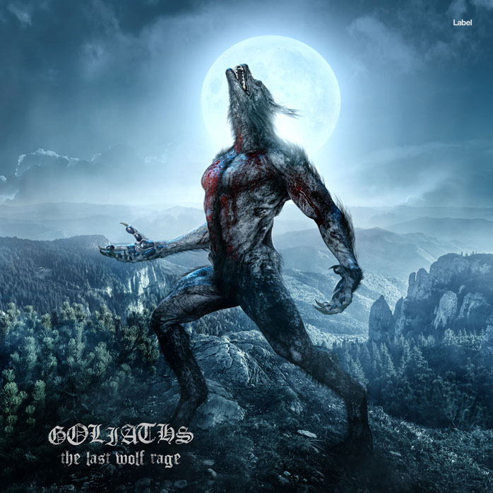 Premade Book Cover William