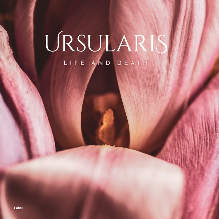 Front view of Premade Electronica & Ambient Album Cover - Turkish Rose #6718 | AlbumArtZone*