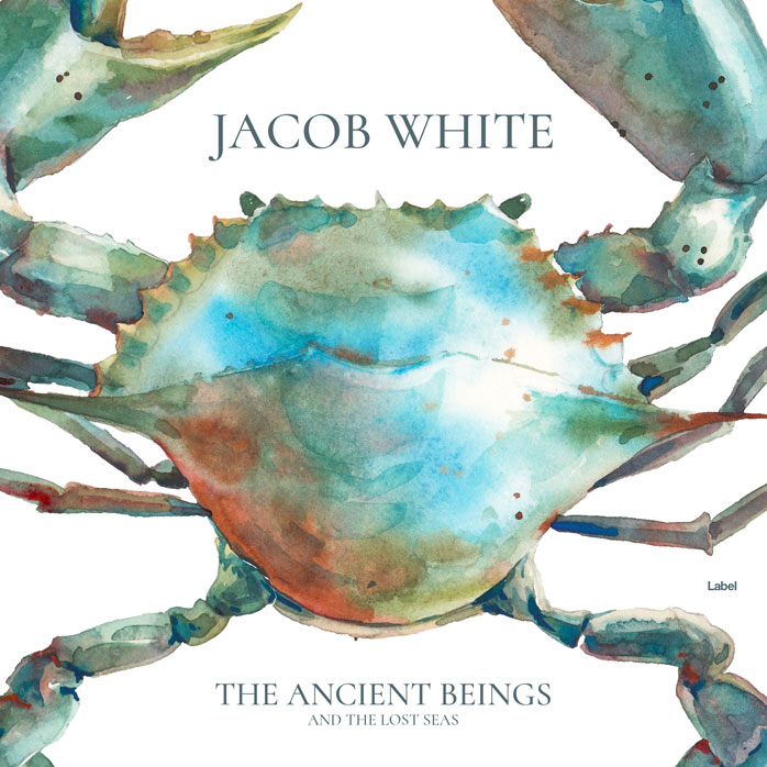 Premade Book Cover Envy