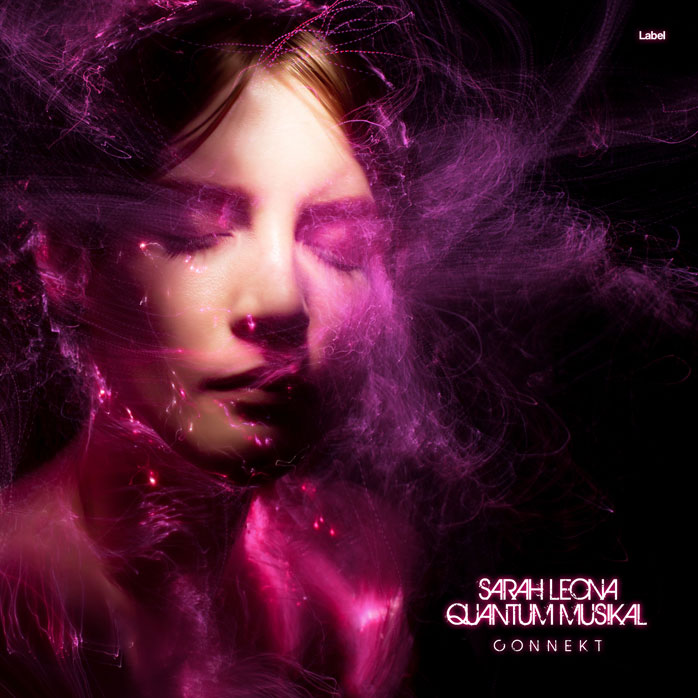 Premade Book Cover Aubergine