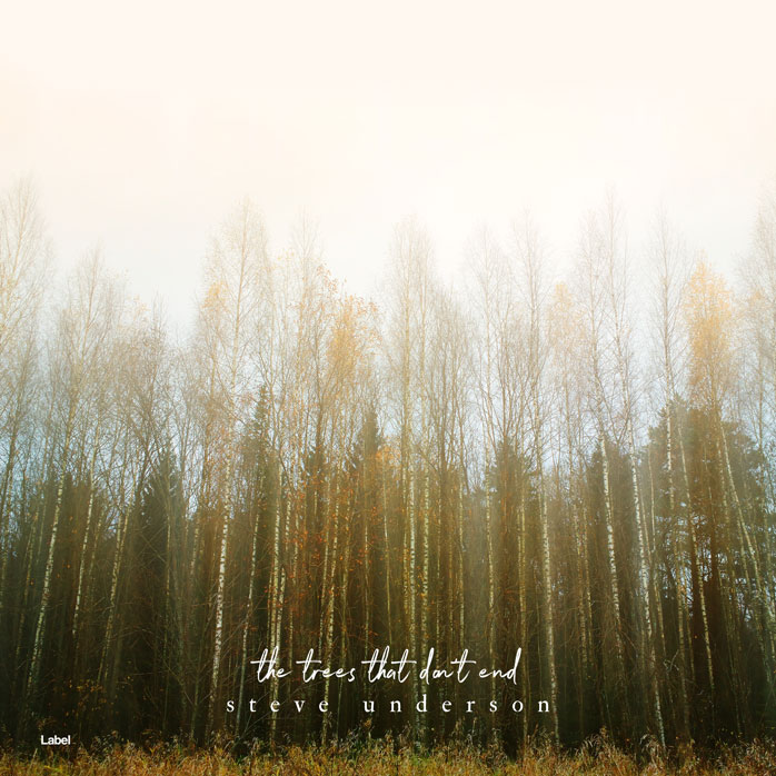 Premade Book Cover Thatch Green