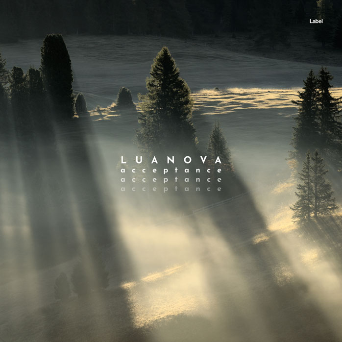 Premade Book Cover Lunar Green