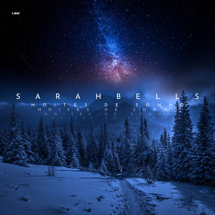 Premade Book Cover Blue Zodiac