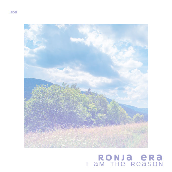Premade Book Cover Periwinkle Gray