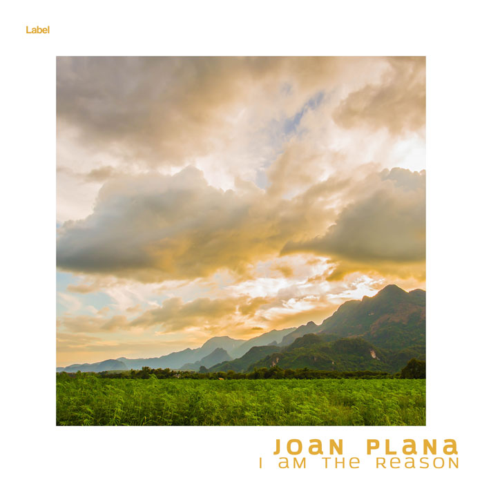 Premade Book Cover Indian Khaki