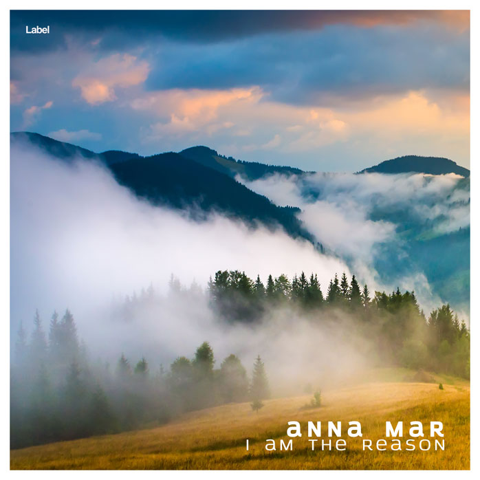 Premade Book Cover Regent Gray