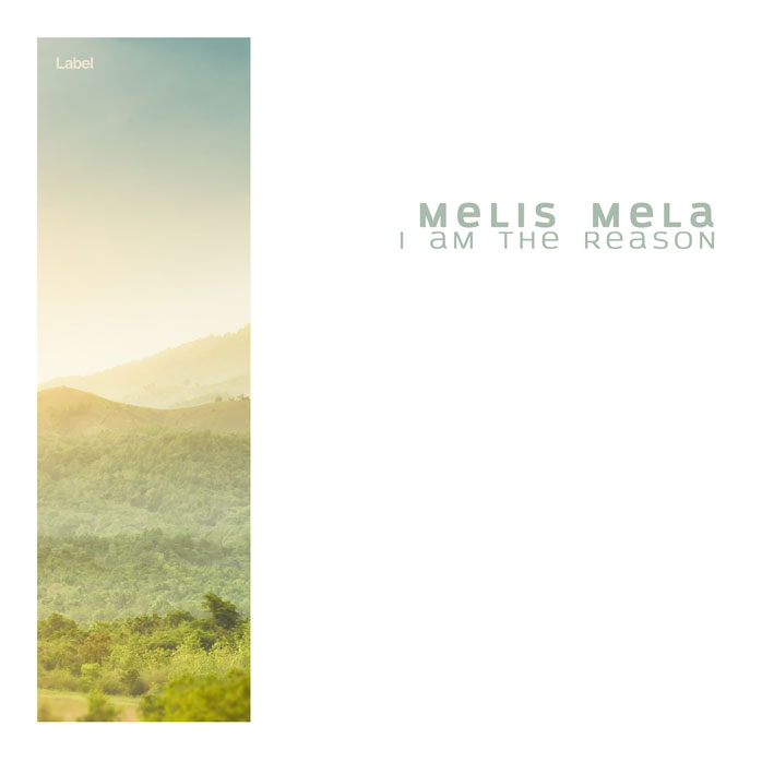 Premade Book Cover Green Mist