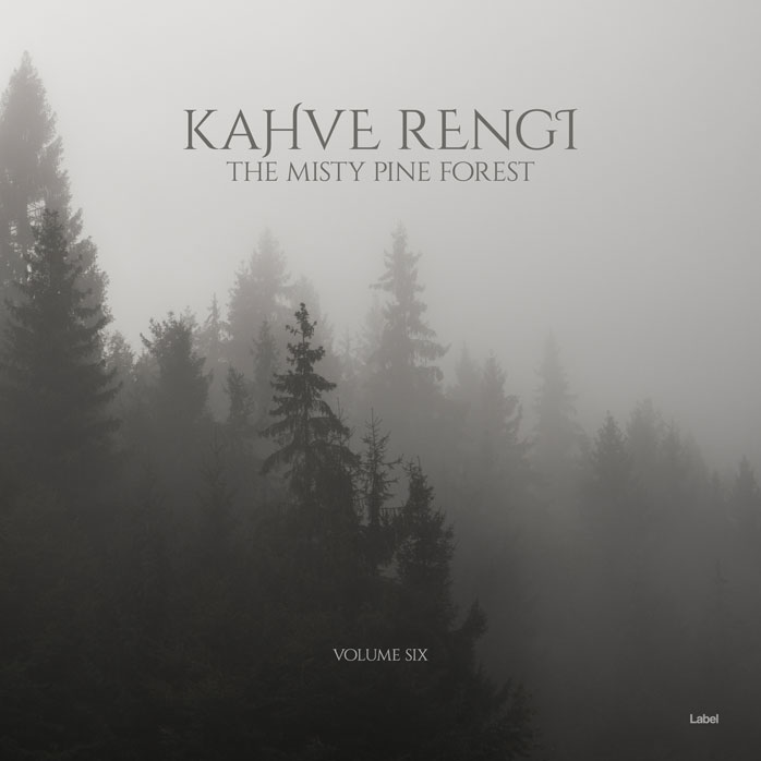 Premade Book Cover Gray Nickel