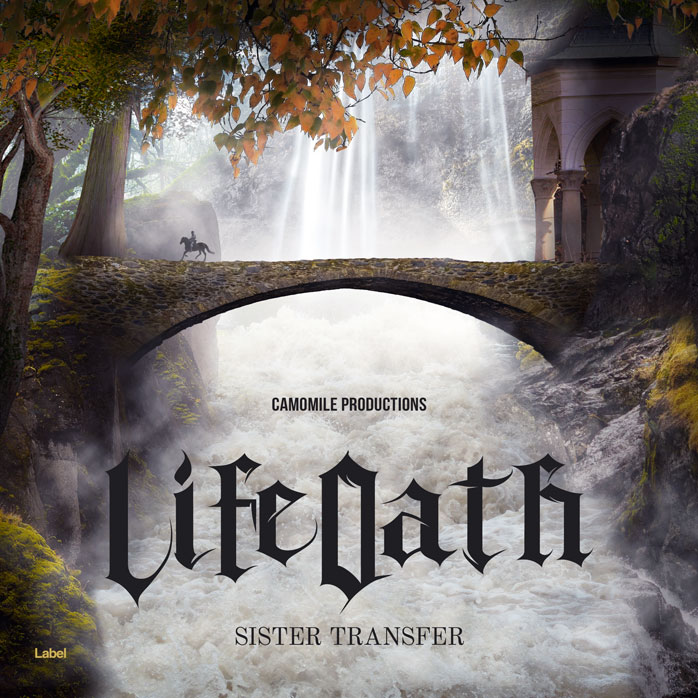 Premade Book Cover Merlin