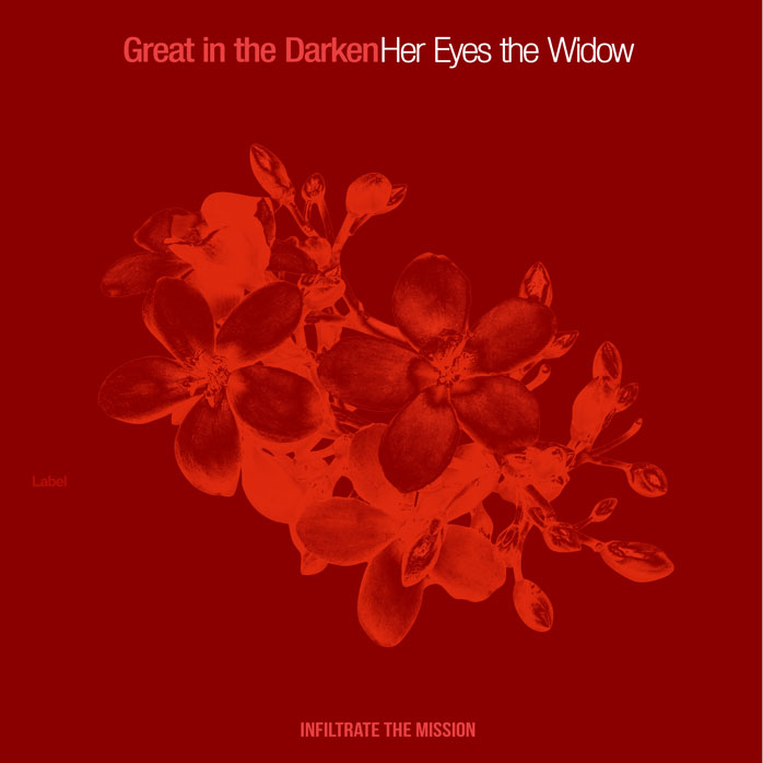 Premade Book Cover Red Berry