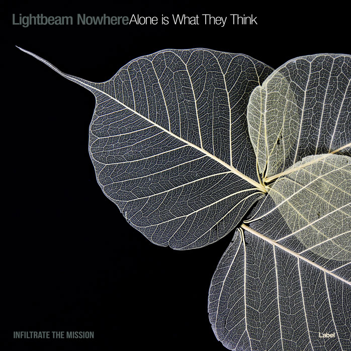Premade Book Cover Delta