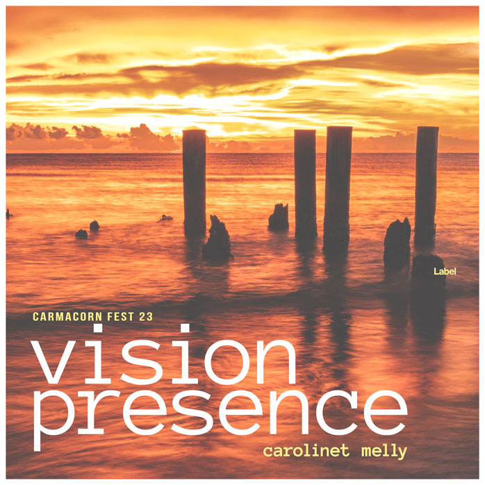 Front view of Premade Electronica & Ambient Album Cover - Raw Sienna #7717 | AlbumArtZone*