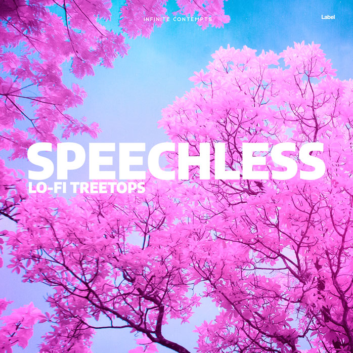 Premade Book Cover Lavender