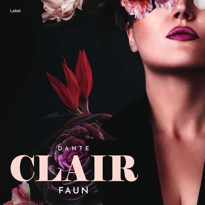 Premade Book Cover Cocoa Brown