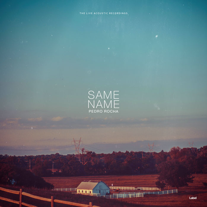 Premade Book Cover Juniper