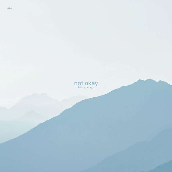 Premade Book Cover Rock Blue