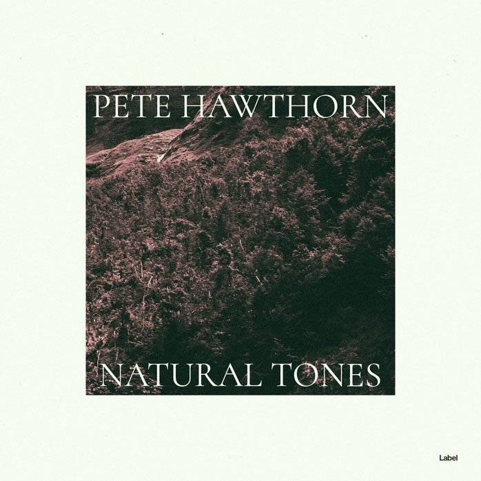 Premade Book Cover Frost