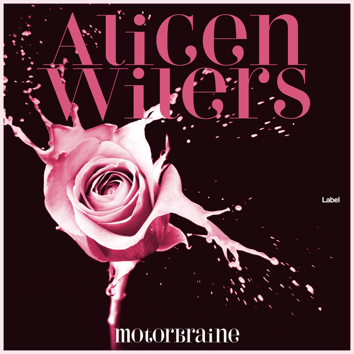 Front view of Premade Pop Album Cover - Aubergine #8398 | AlbumArtZone*