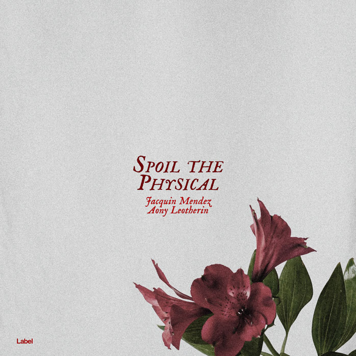 Premade Book Cover Alto