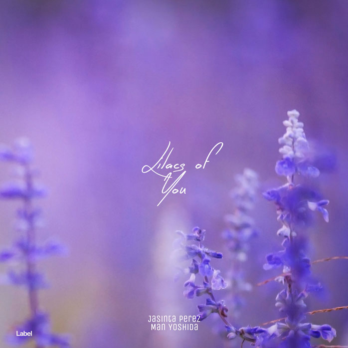 Premade Book Cover Wisteria