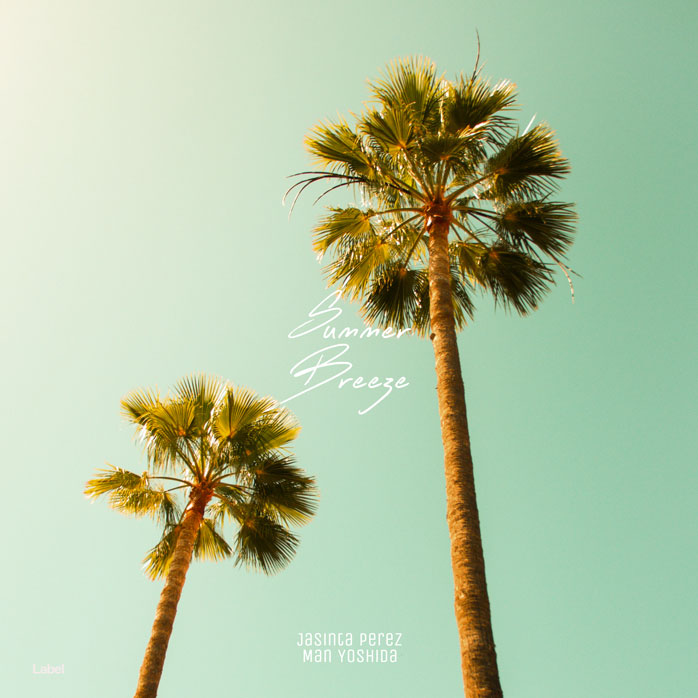 Premade Book Cover Surf