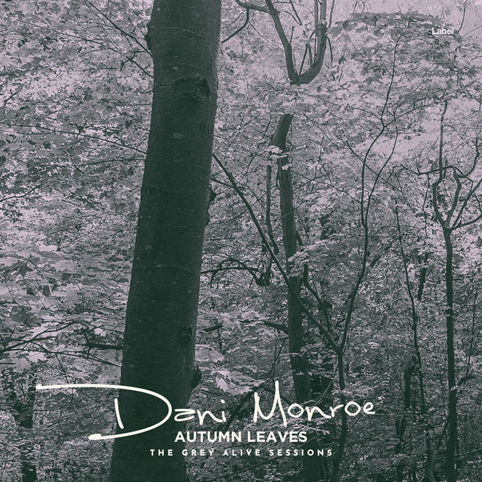 Premade Book Cover Cape Cod