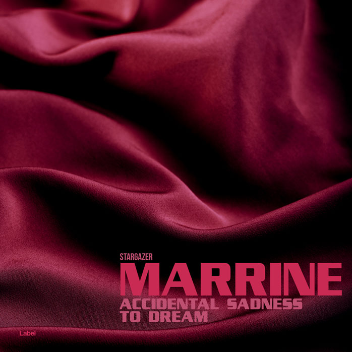 Premade Book Cover Aubergine
