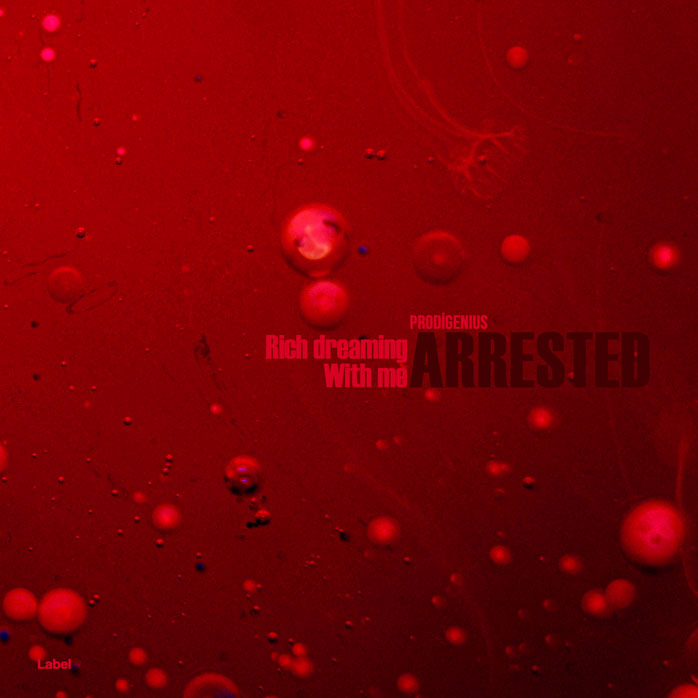 Premade Book Cover Red Oxide