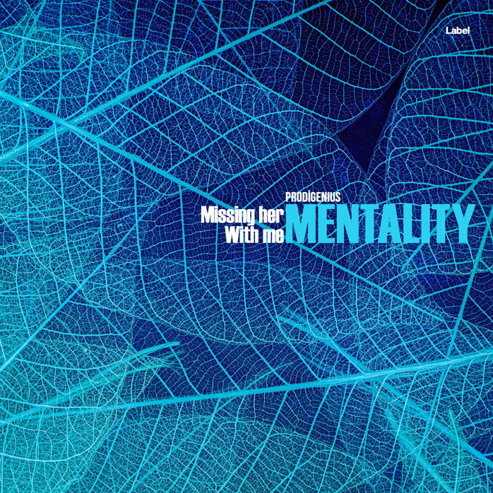 Premade Book Cover Chathams Blue