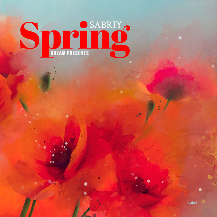 Premade Book Cover Valencia
