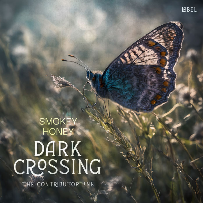 Premade Book Cover Kelp