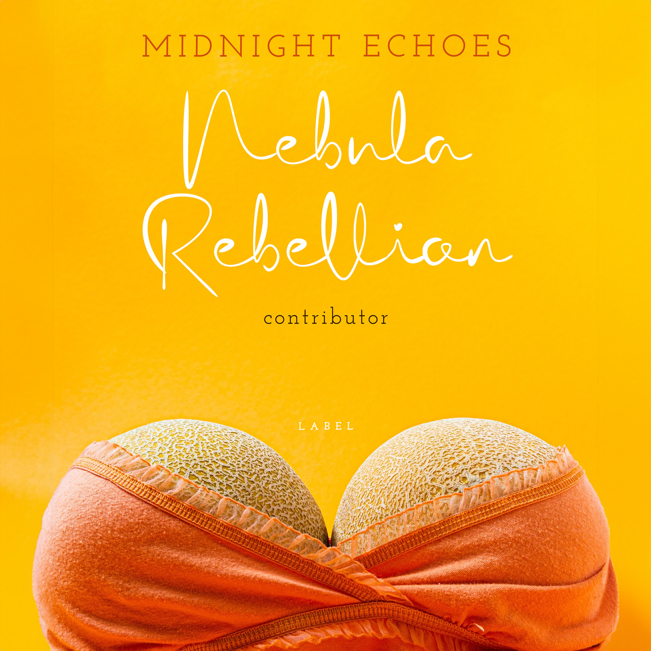 Premade Book Cover Amber