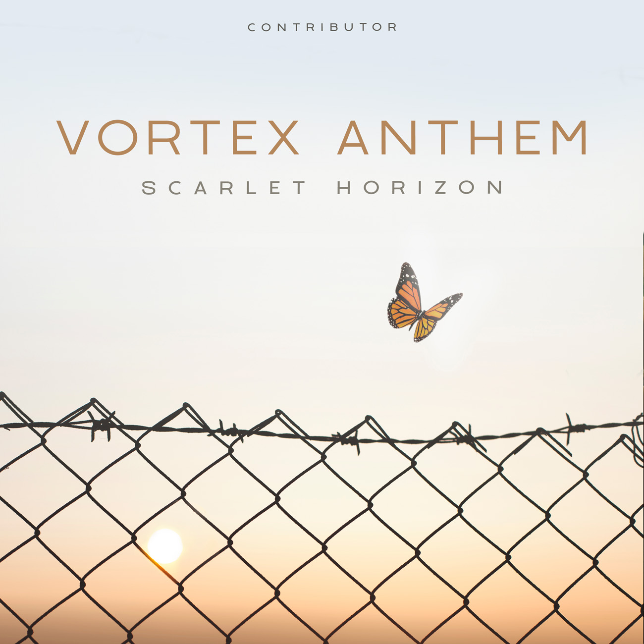 Premade Book Cover Pampas