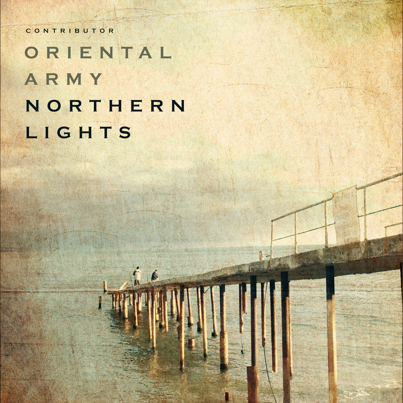 Premade Book Cover Akaroa