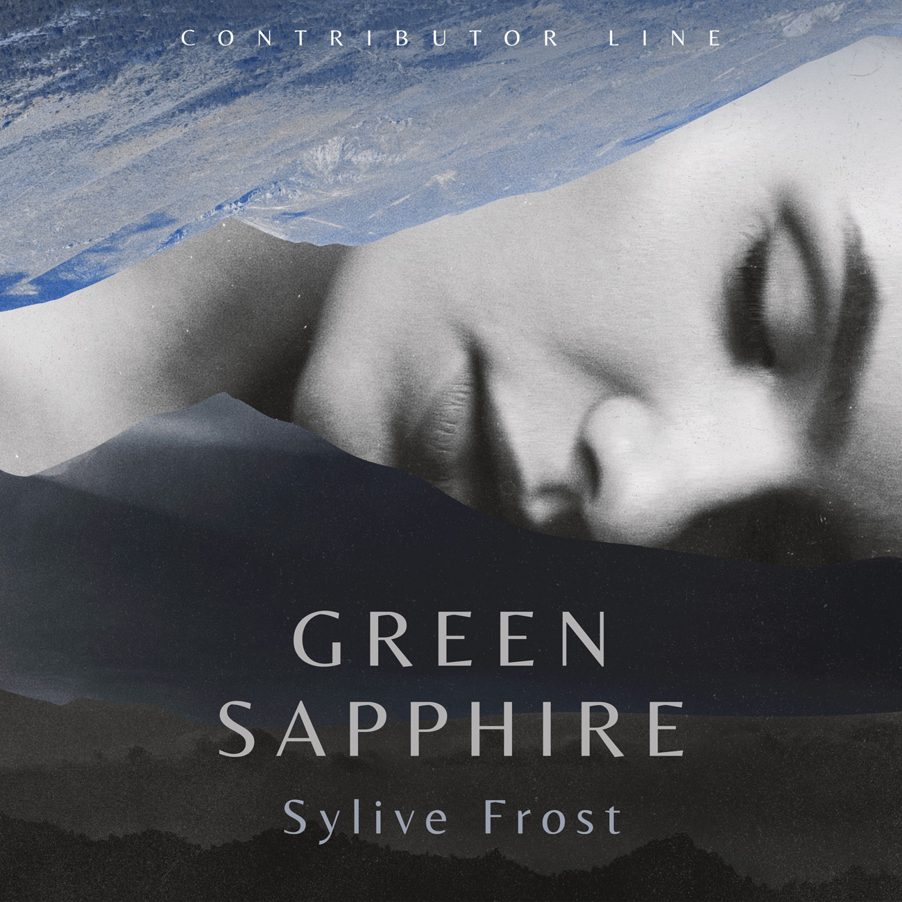 Premade Book Cover Shark